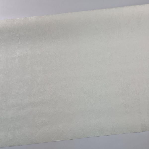 Виниловые обои 1.06 &times; 10.05 м Wall Color 162-20, молочные с рельефным рисунком для гостиной, спальни, кабинета 2759171283 фото
